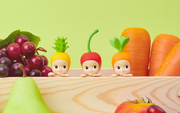 HIPPERS - Harvest Series - Happy Display Treasure