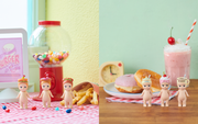 Snack Series - Delightful Gift Ready Pick