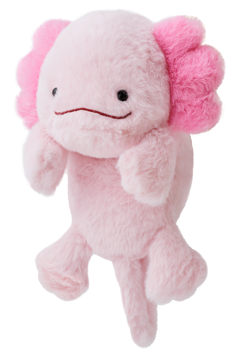 Posture Pal - Treasured Figure Highlight