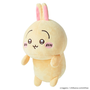 Posture Pal - CHiiKAWA - Classic Charming Keepsake