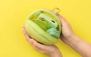 SMISKI Cushion Pouch - Signature Collectible Choice