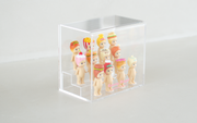 Sonny Angel Acrylic Display Case - Cheerful Collector Choice