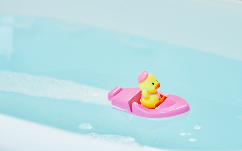Duck Sailor Boat - Charming Showcase Choice