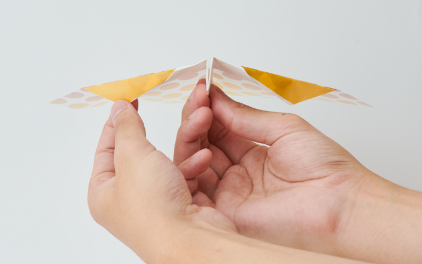 Papillon Origami Airplanes - Collector Playful Treasure